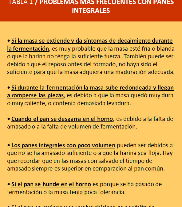 Los-panes-integrales