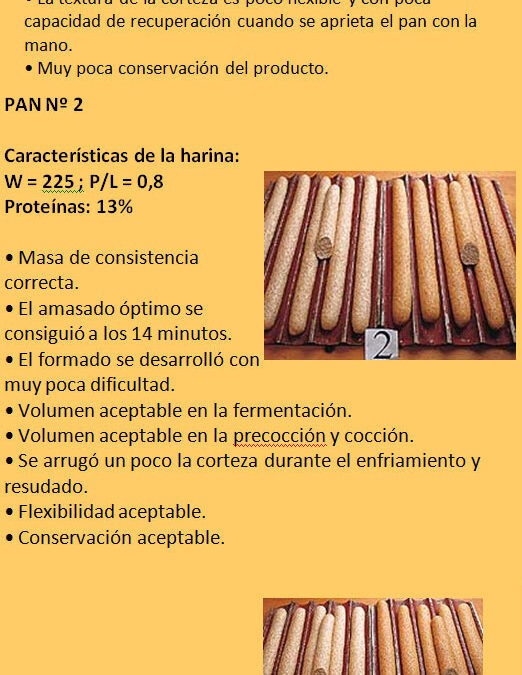 Pruebas-comparativas-con-panes-integrales