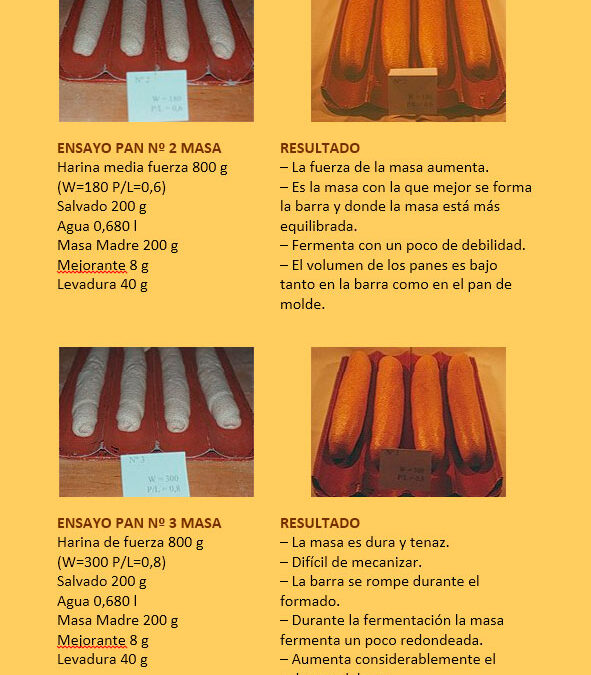 Pruebas-comparativas-con-panes-integrales-congelados2