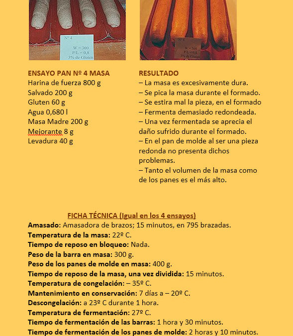 Pruebas-comparativas-con-panes-integrales-congelados3