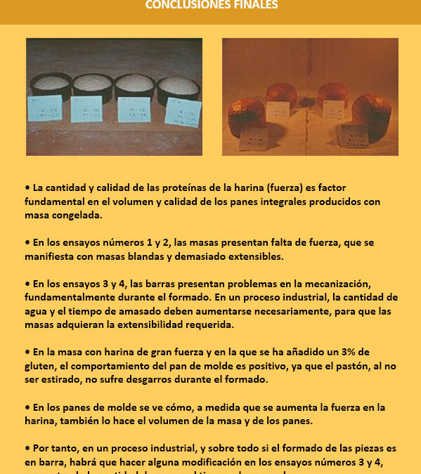 Pruebas-comparativas-con-panes-integrales-congelados4